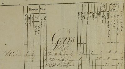 Föredrag och konkreta tips till forskningen, mantalslängder @ Digitalt via zoom